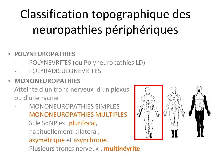 Classification topographique des neuropathies périphériques • POLYNEUROPATHIES POLYNEVRITES (ou Polyneuropathies LD) POLYRADICULONEVRITES • MONONEUROPATHIES