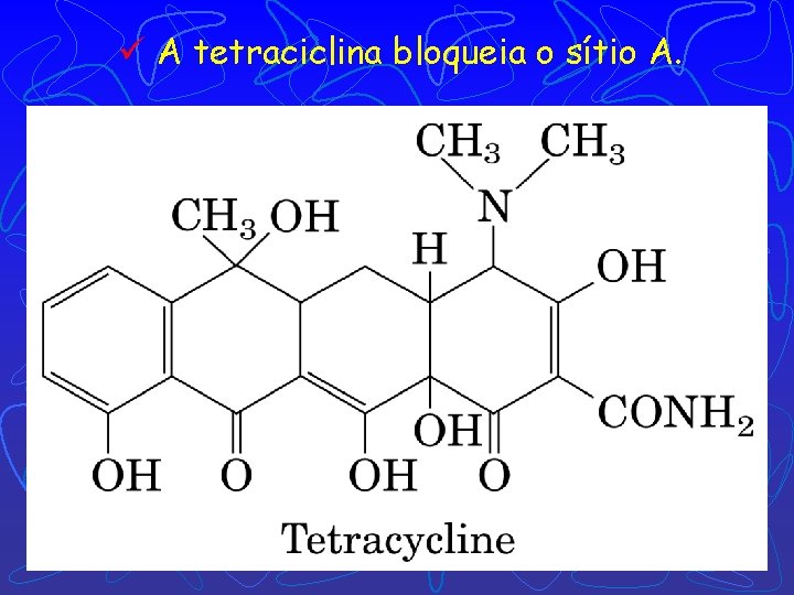 ü A tetraciclina bloqueia o sítio A. 