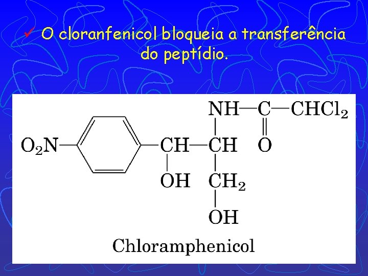 ü O cloranfenicol bloqueia a transferência do peptídio. 
