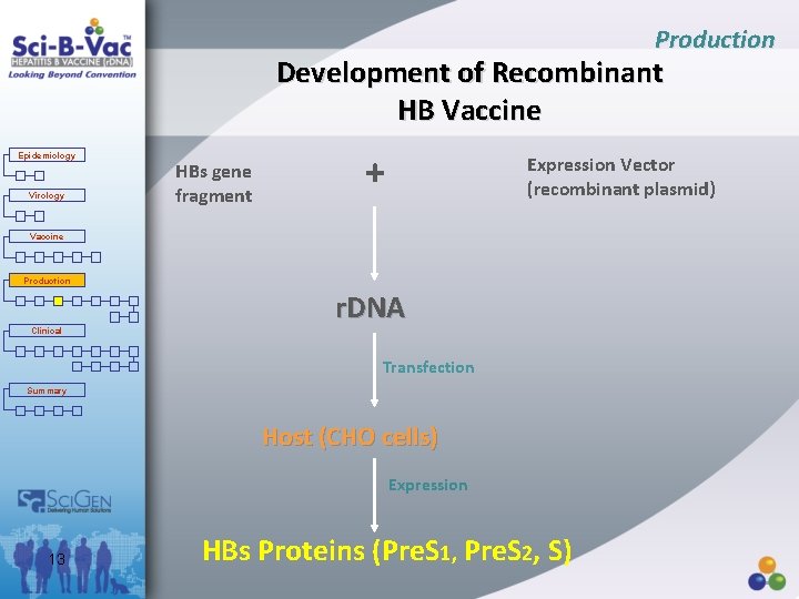 Production Development of Recombinant HB Vaccine Epidemiology Virology HBs gene fragment + Expression Vector