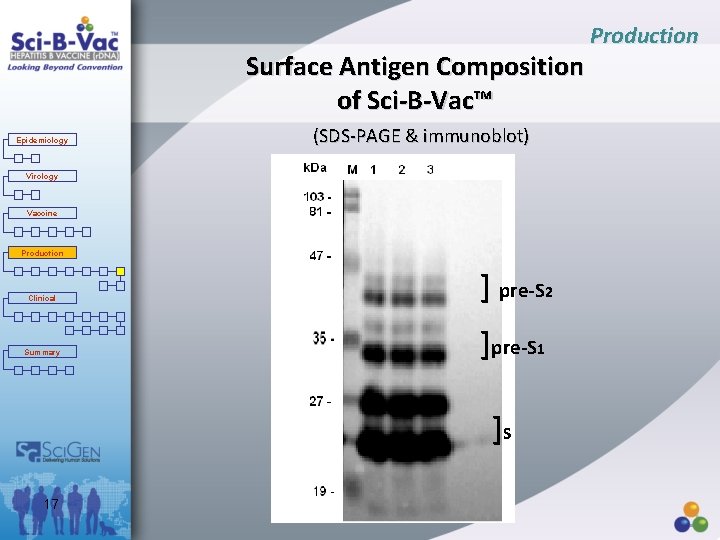 Production Surface Antigen Composition of Sci-B-Vac™ Epidemiology (SDS-PAGE & immunoblot) Virology Vaccine Production Clinical