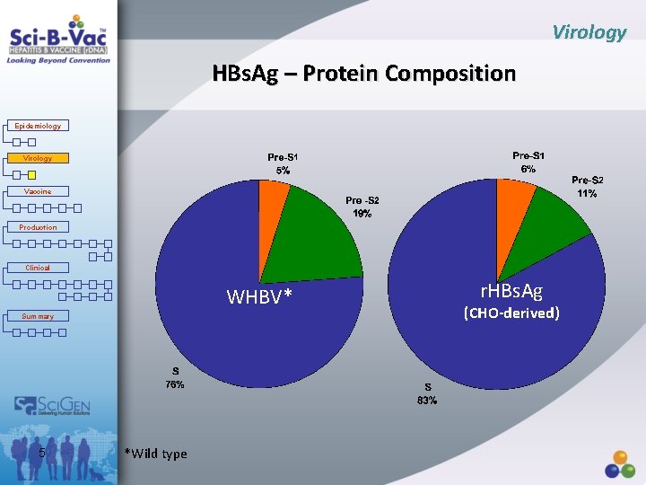 Virology HBs. Ag – Protein Composition Epidemiology Virology Vaccine Production Clinical WHBV* Summary 5