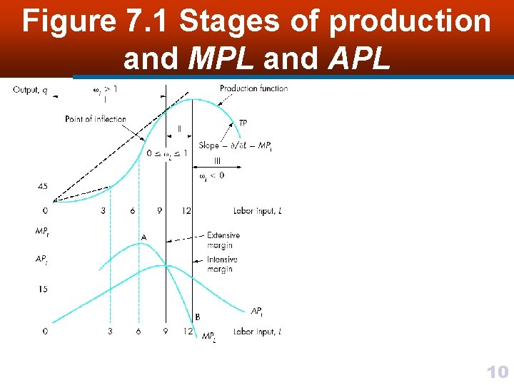 Figure 7. 1 Stages of production and MPL and APL 10 