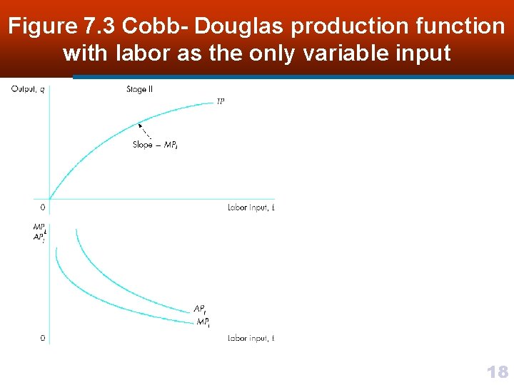 Figure 7. 3 Cobb- Douglas production function with labor as the only variable input