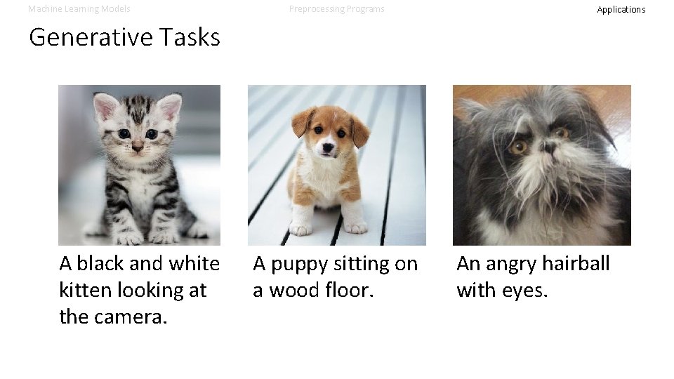 Machine Learning Models Preprocessing Programs Applications Generative Tasks A black and white kitten looking Machine Learning Models Preprocessing Programs Applications Generative Tasks A black and white kitten looking