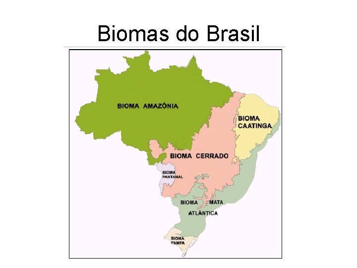 Biomas do Brasil 