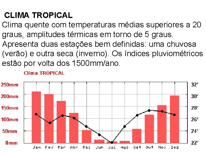 CLIMA TROPICAL Clima quente com temperaturas médias superiores a 20 graus, amplitudes térmicas em