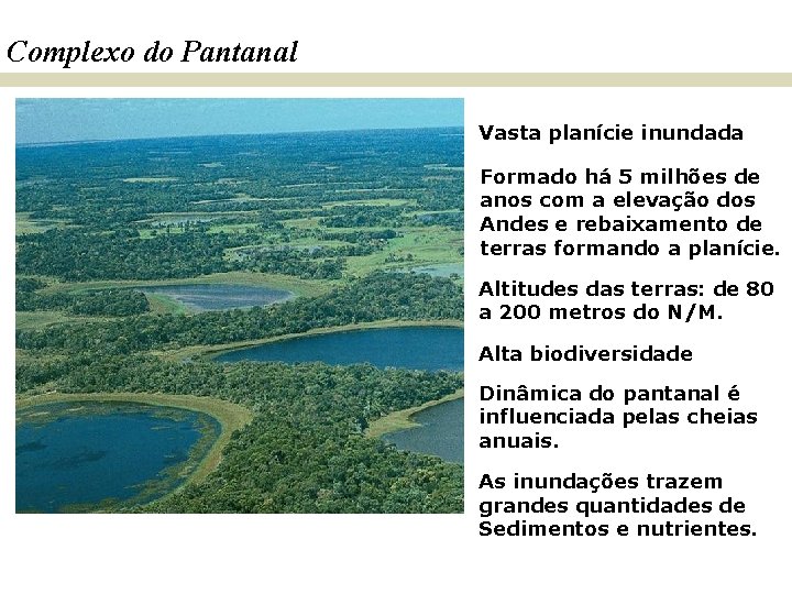 Complexo do Pantanal Vasta planície inundada Formado há 5 milhões de anos com a