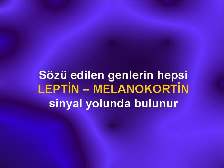 Sözü edilen genlerin hepsi LEPTİN – MELANOKORTİN sinyal yolunda bulunur 