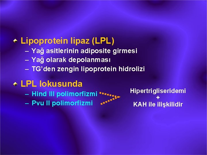 Lipoprotein lipaz (LPL) – Yağ asitlerinin adiposite girmesi – Yağ olarak depolanması – TG’den