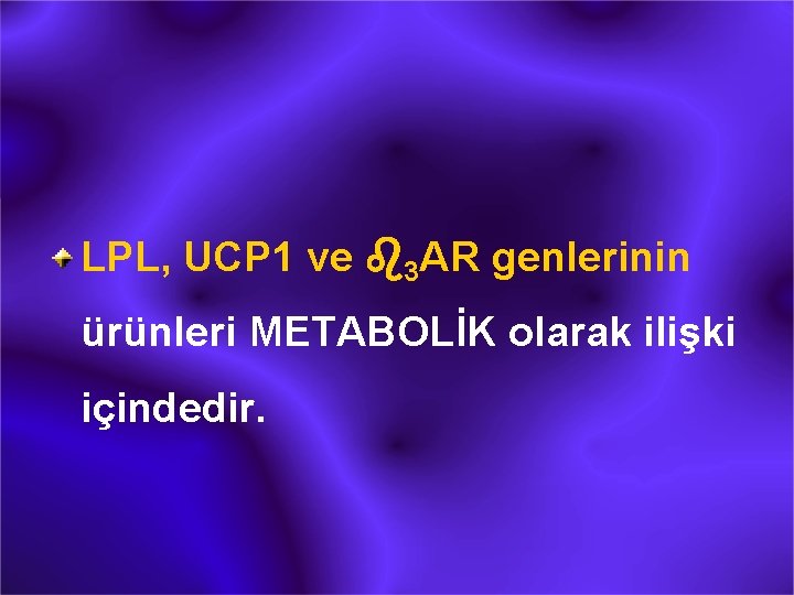 LPL, UCP 1 ve b 3 AR genlerinin ürünleri METABOLİK olarak ilişki içindedir. 