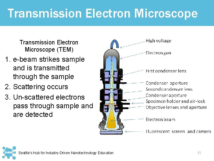Transmission Electron Microscope (TEM) 1. e-beam strikes sample and is transmitted through the sample