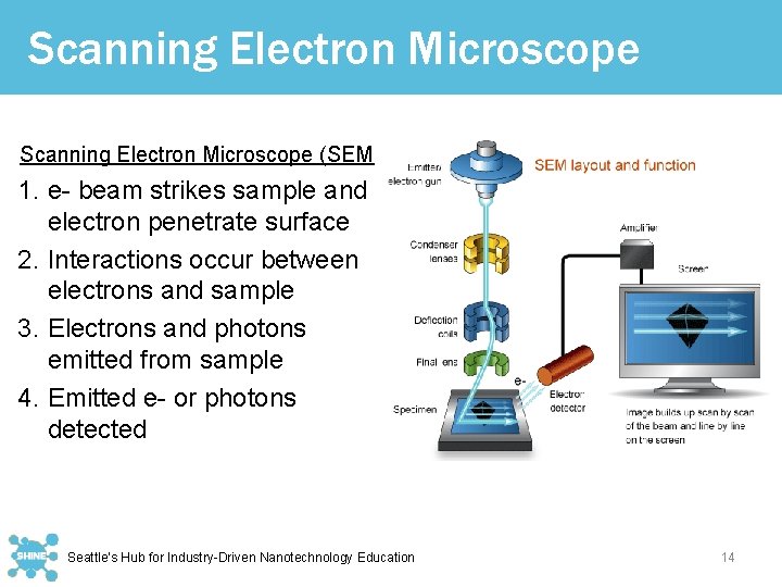 Scanning Electron Microscope (SEM) 1. e- beam strikes sample and electron penetrate surface 2.