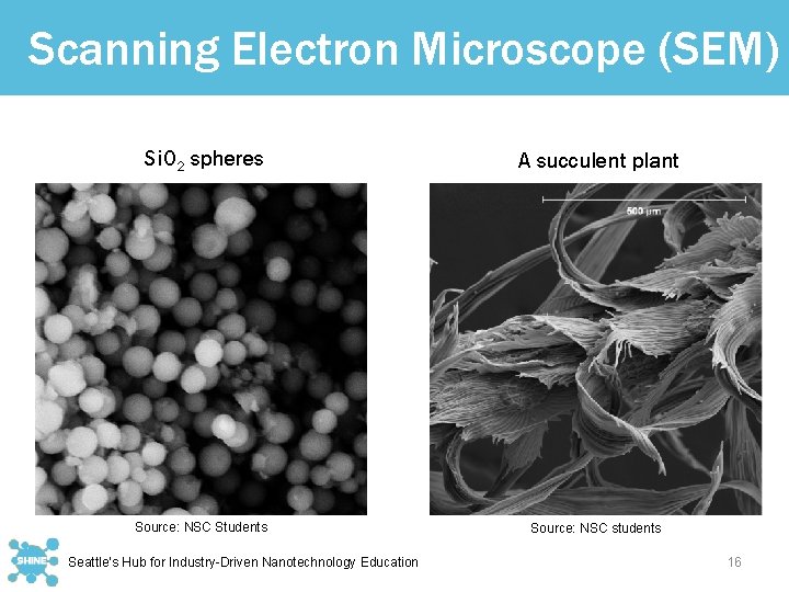 Scanning Electron Microscope (SEM) Si. O 2 spheres A succulent plant Source: NSC Students