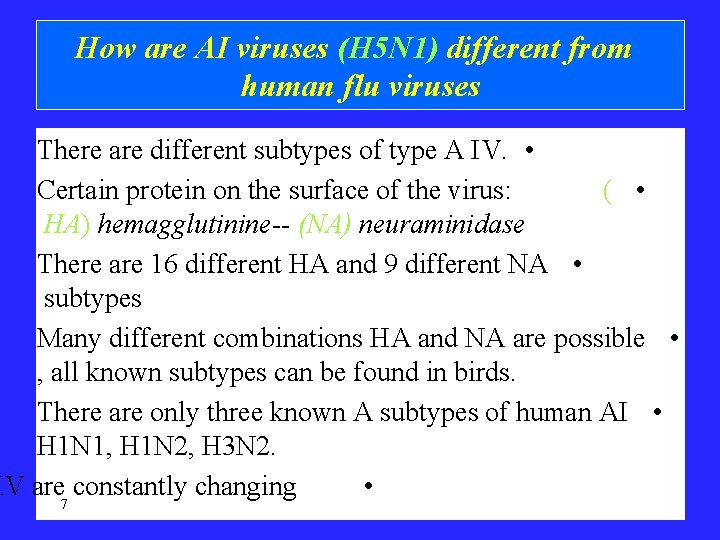 How are AI viruses (H 5 N 1) different from human flu viruses There