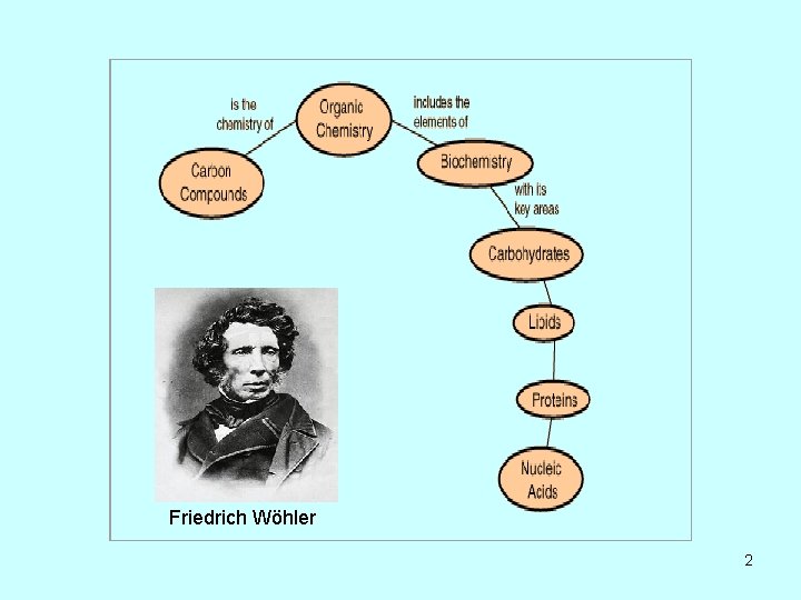  Friedrich Wöhler 2 