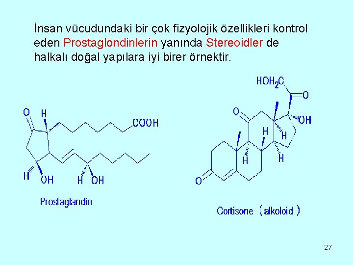 İnsan vücudundaki bir çok fizyolojik özellikleri kontrol eden Prostaglondinlerin yanında Stereoidler de halkalı doğal