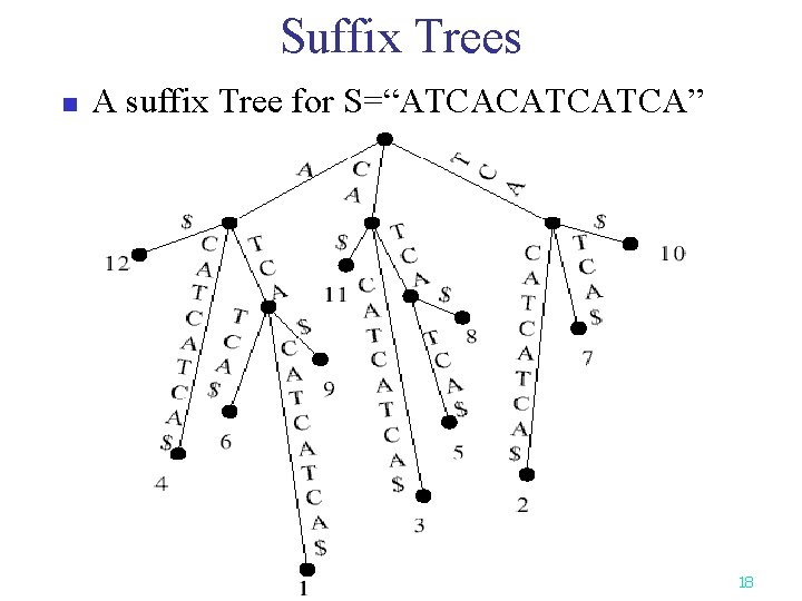 Suffix Trees n A suffix Tree for S=“ATCACATCATCA” 18 