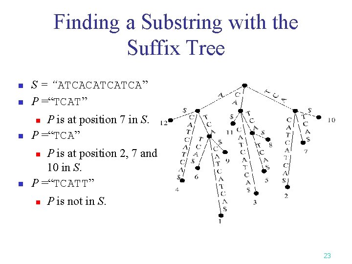 Finding a Substring with the Suffix Tree n S = “ATCACATCATCA” P =“TCAT” n Finding a Substring with the Suffix Tree n S = “ATCACATCATCA” P =“TCAT” n