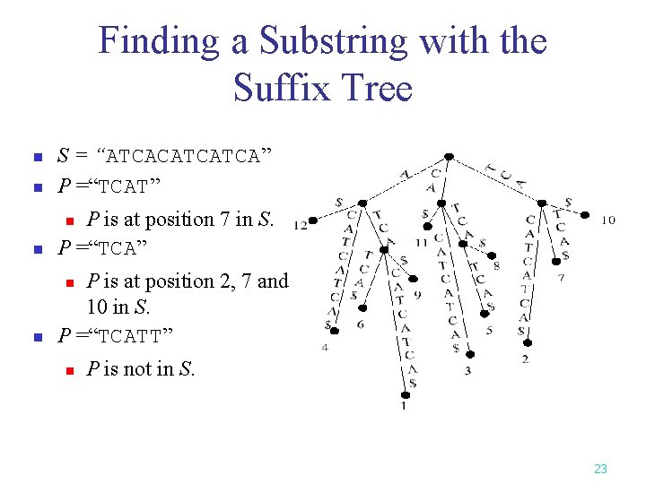 Finding a Substring with the Suffix Tree n S = “ATCACATCATCA” P =“TCAT” n