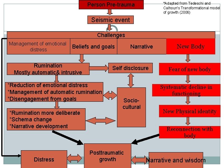 *Adapted from Tedeschi and Calhoun's Transformational model of growth (2006) Person Pre-trauma Seismic event