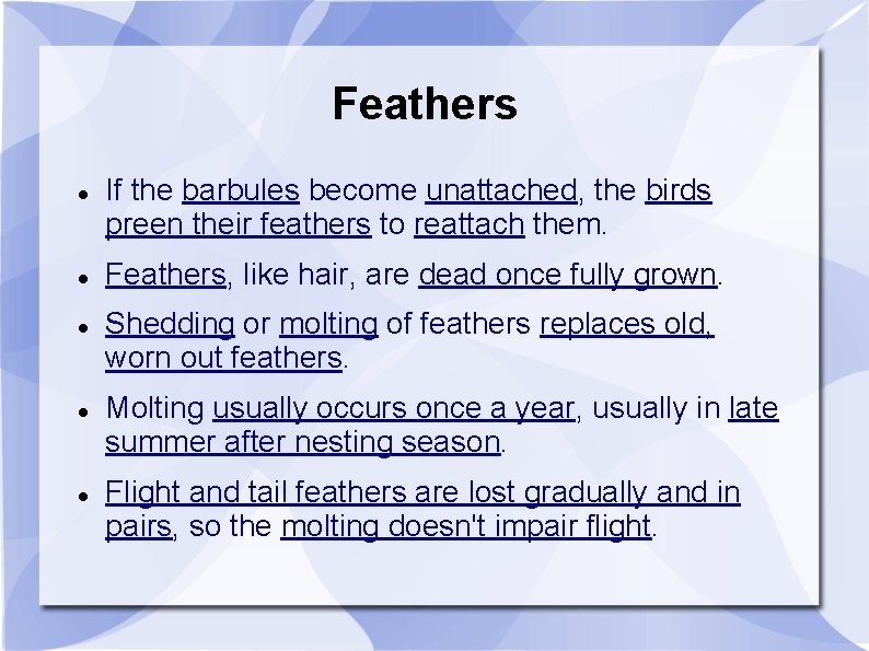 Feathers If the barbules become unattached, the birds preen their feathers to reattach them.