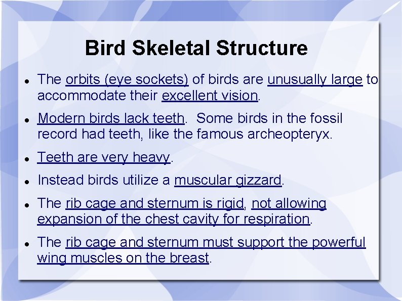 Bird Skeletal Structure The orbits (eye sockets) of birds are unusually large to accommodate