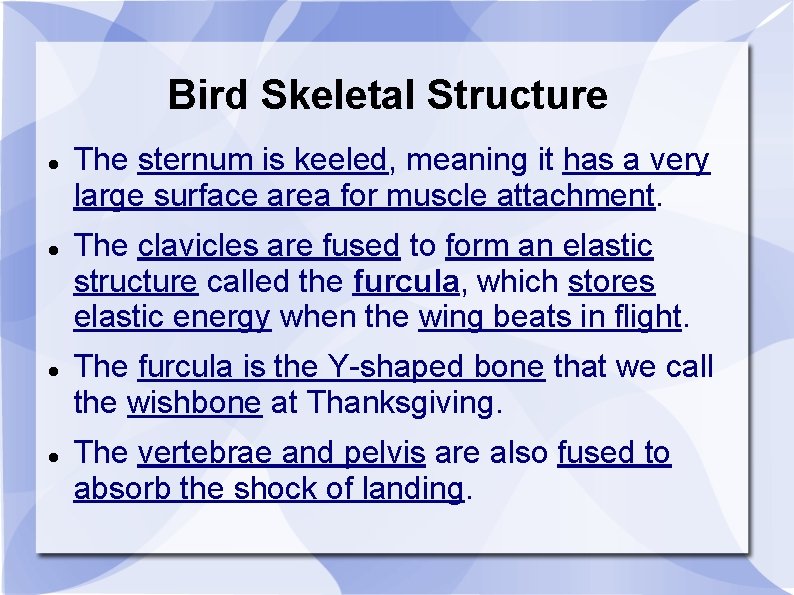 Bird Skeletal Structure The sternum is keeled, meaning it has a very large surface