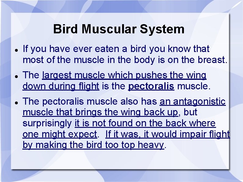 Bird Muscular System If you have ever eaten a bird you know that most