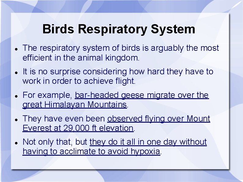 Birds Respiratory System The respiratory system of birds is arguably the most efficient in