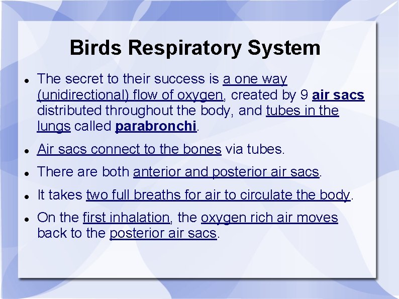 Birds Respiratory System The secret to their success is a one way (unidirectional) flow