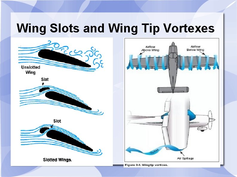 Wing Slots and Wing Tip Vortexes 