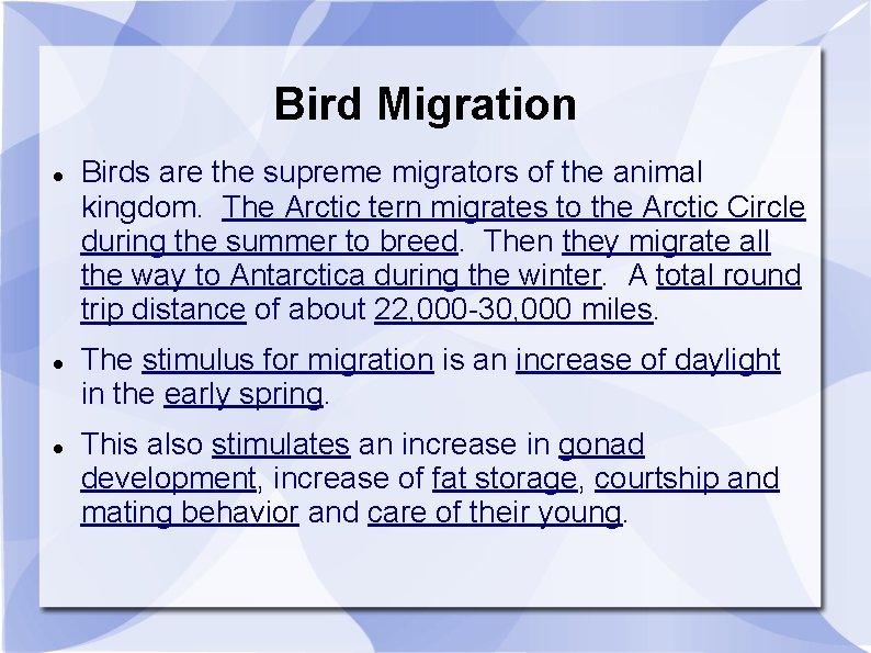 Bird Migration Birds are the supreme migrators of the animal kingdom. The Arctic tern