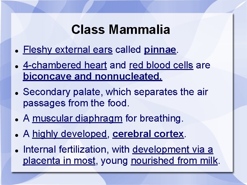 Class Mammalia Fleshy external ears called pinnae. 4 -chambered heart and red blood cells