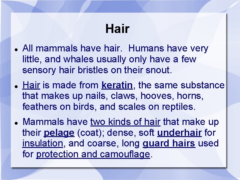 Hair All mammals have hair. Humans have very little, and whales usually only have