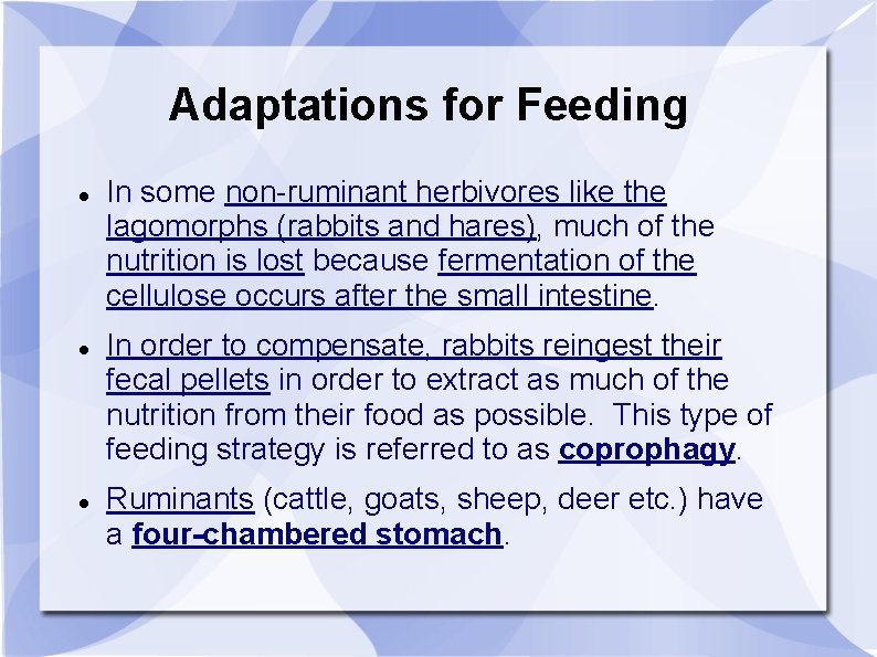 Adaptations for Feeding In some non-ruminant herbivores like the lagomorphs (rabbits and hares), much