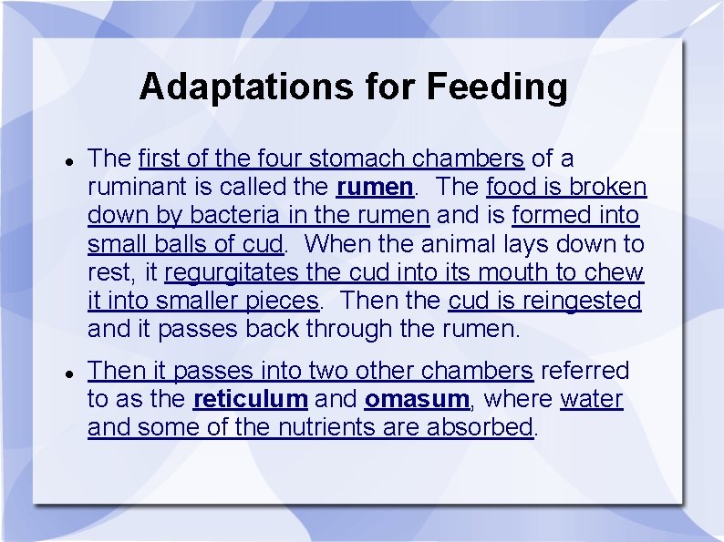 Adaptations for Feeding The first of the four stomach chambers of a ruminant is