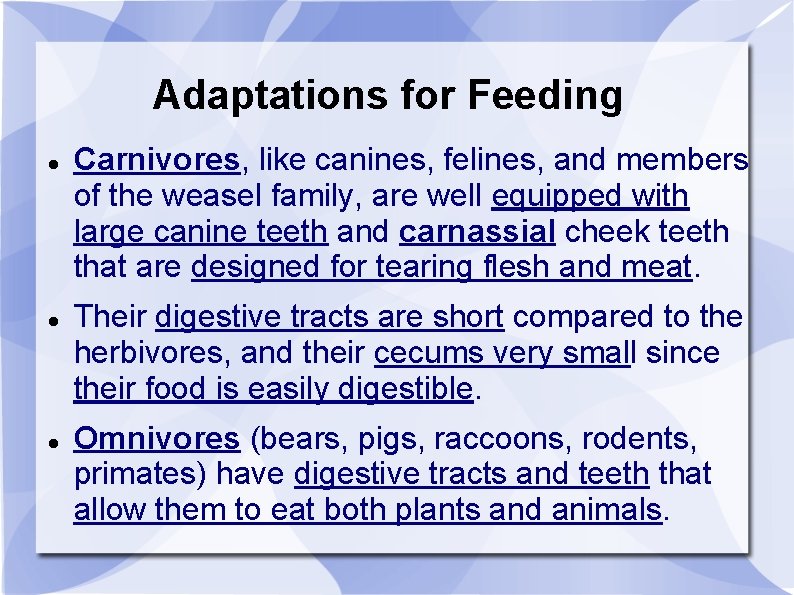 Adaptations for Feeding Carnivores, like canines, felines, and members of the weasel family, are