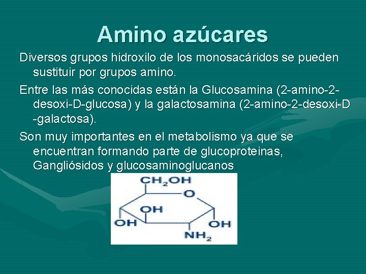 Amino azúcares Diversos grupos hidroxilo de los monosacáridos se pueden sustituir por grupos amino.