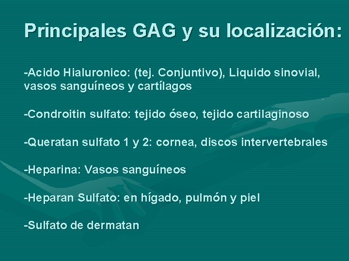 Principales GAG y su localización: -Acido Hialuronico: (tej. Conjuntivo), Liquido sinovial, vasos sanguíneos y