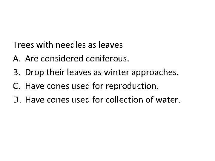 Trees with needles as leaves A. Are considered coniferous. B. Drop their leaves as