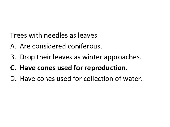 Trees with needles as leaves A. Are considered coniferous. B. Drop their leaves as