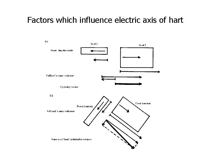 Factors which influence electric axis of hart 