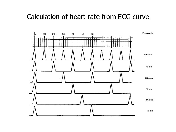 Calculation of heart rate from ECG curve 