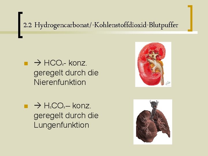 2. 2 Hydrogencarbonat/-Kohlenstoffdioxid-Blutpuffer n HCO - konz. geregelt durch die Nierenfunktion n H CO 2. 2 Hydrogencarbonat/-Kohlenstoffdioxid-Blutpuffer n HCO - konz. geregelt durch die Nierenfunktion n H CO