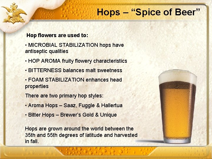 Hops – “Spice of Beer” Hop flowers are used to: • MICROBIAL STABILIZATION hops