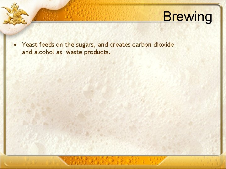 Brewing • Yeast feeds on the sugars, and creates carbon dioxide and alcohol as