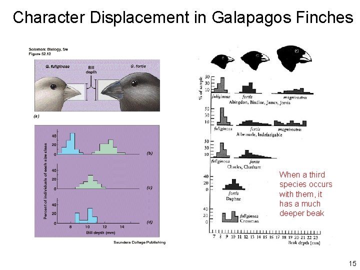 Character Displacement in Galapagos Finches When a third species occurs with them, it has