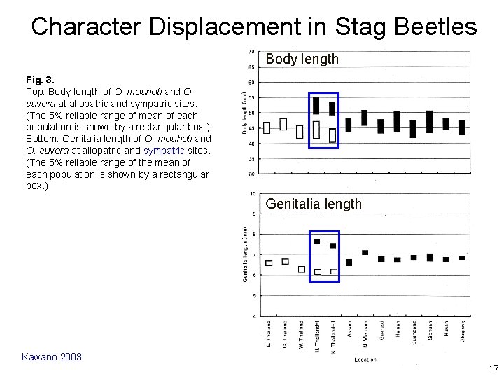Character Displacement in Stag Beetles Body length Fig. 3. Top: Body length of O.