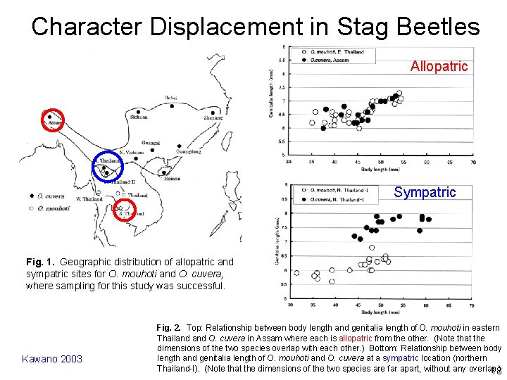 Character Displacement in Stag Beetles Allopatric Sympatric Fig. 1. Geographic distribution of allopatric and